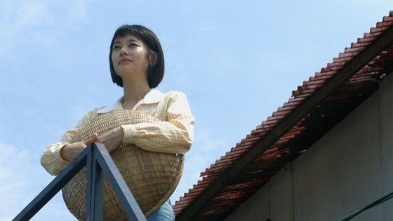 쏨 이미지