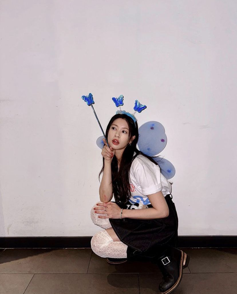 쏨 이미지