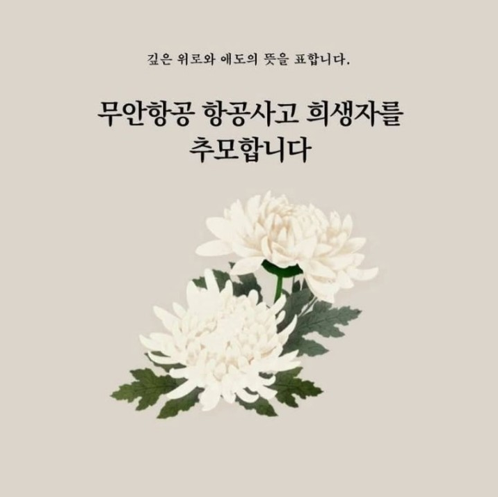 쏨 이미지