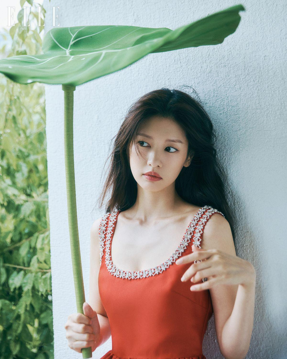 쏨 이미지