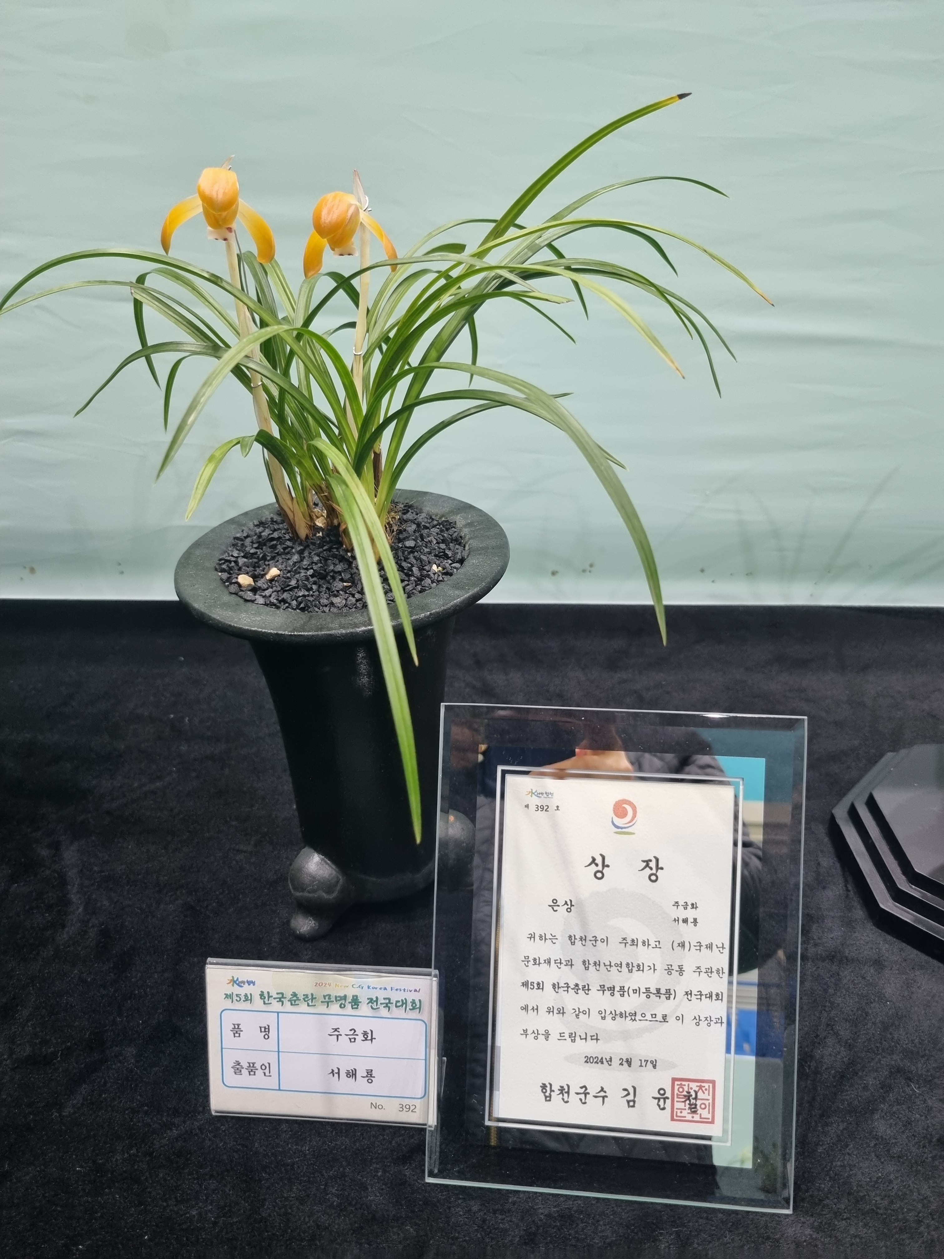 무명품 이미지
