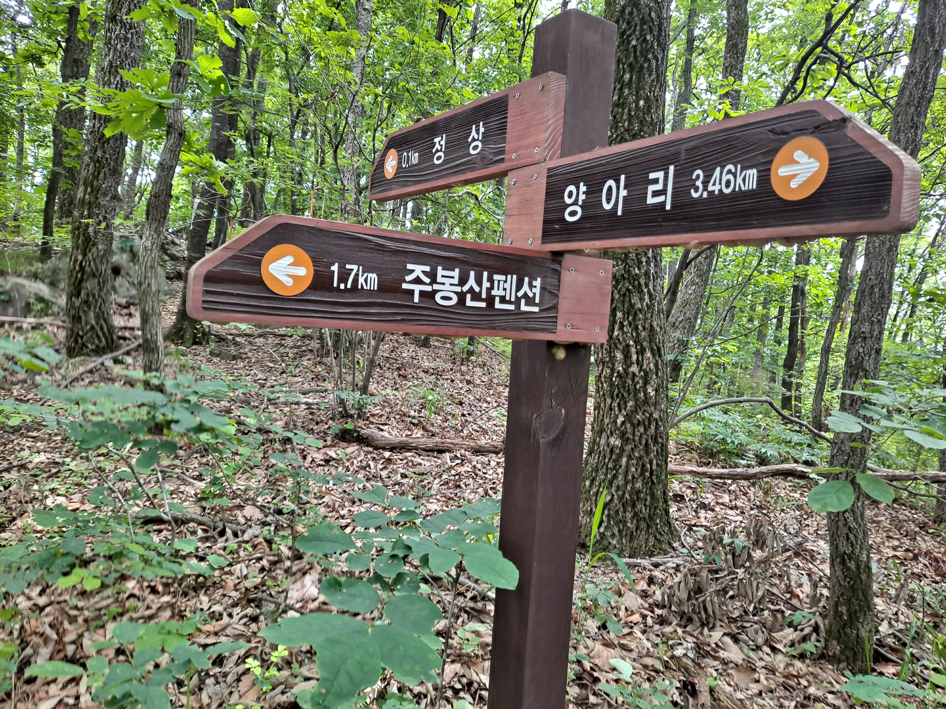 주봉산펜션 이미지