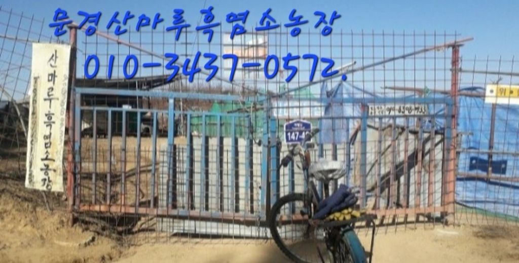 산마루 이미지