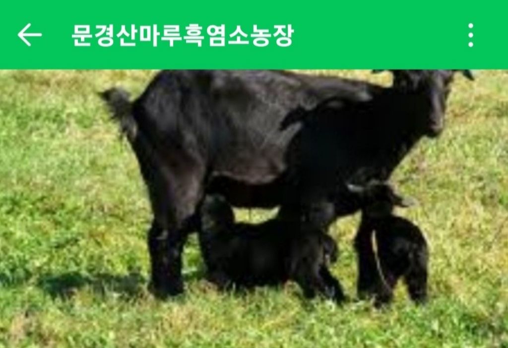 산마루 이미지