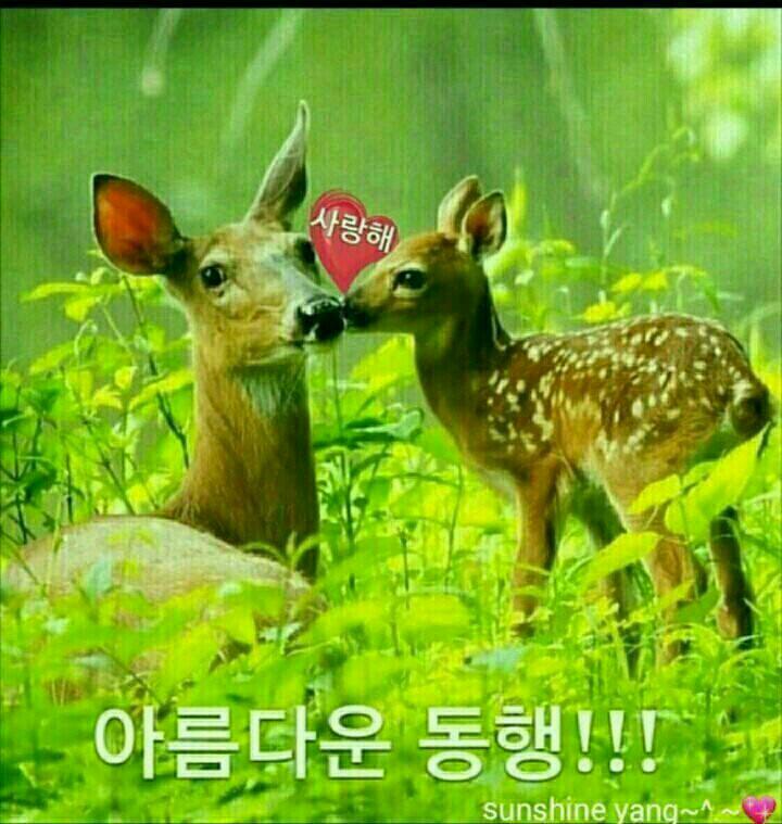 샘물피아노 이미지