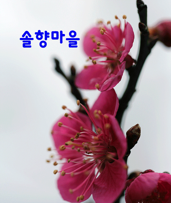 카페 프로필 이미지