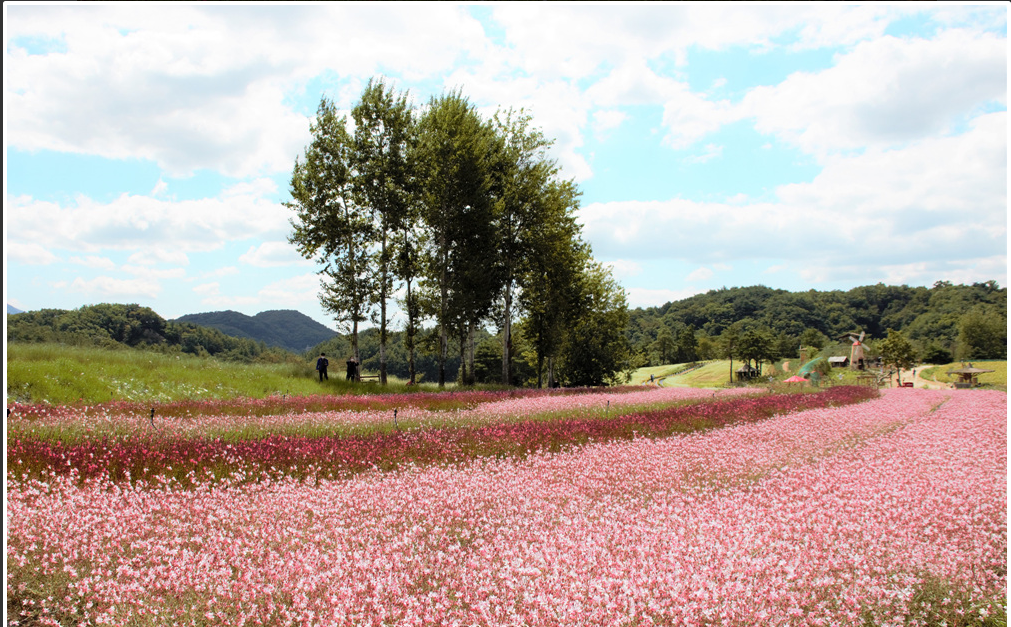 (주)한사랑여행 이미지