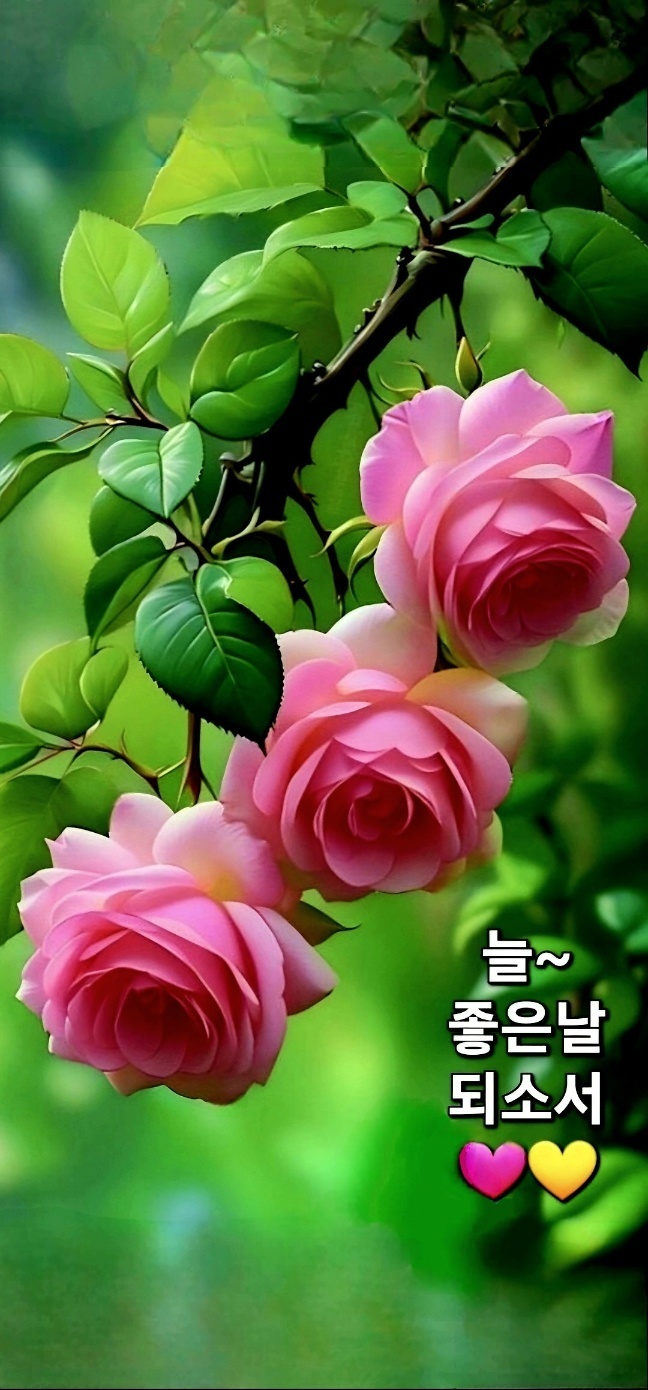 명작 이미지