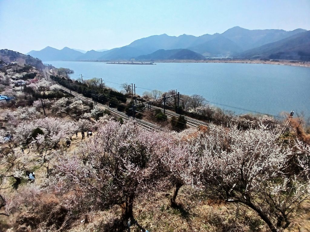원동 이미지