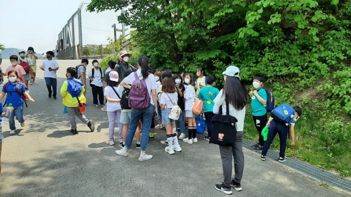 안계초등학교 이미지