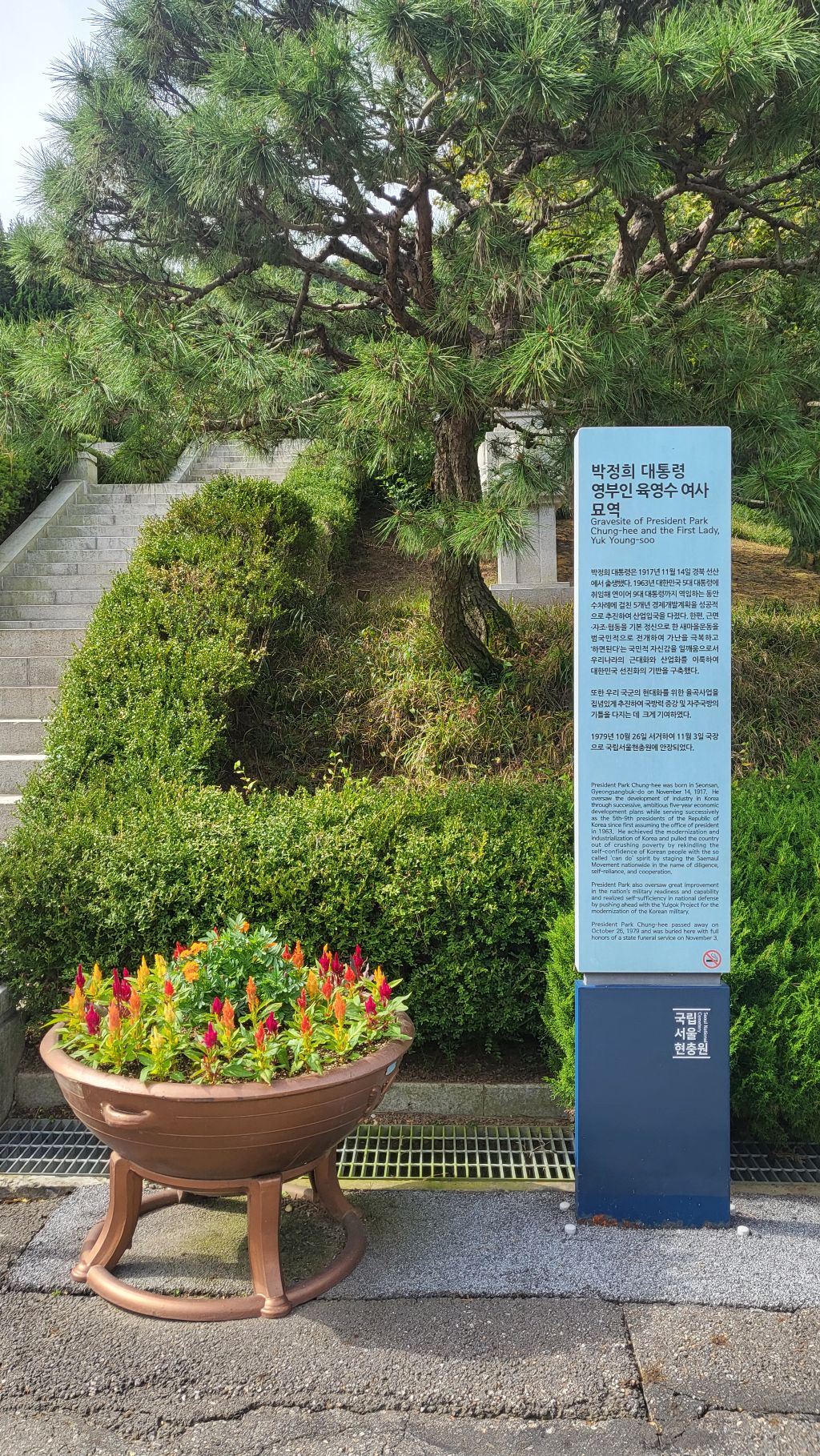 하나린 이미지