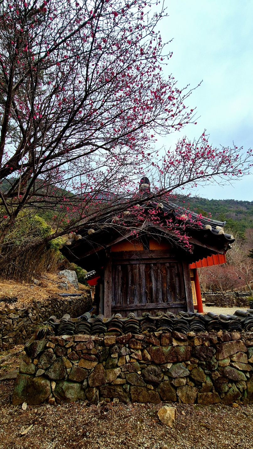 오늘도꽃 이미지