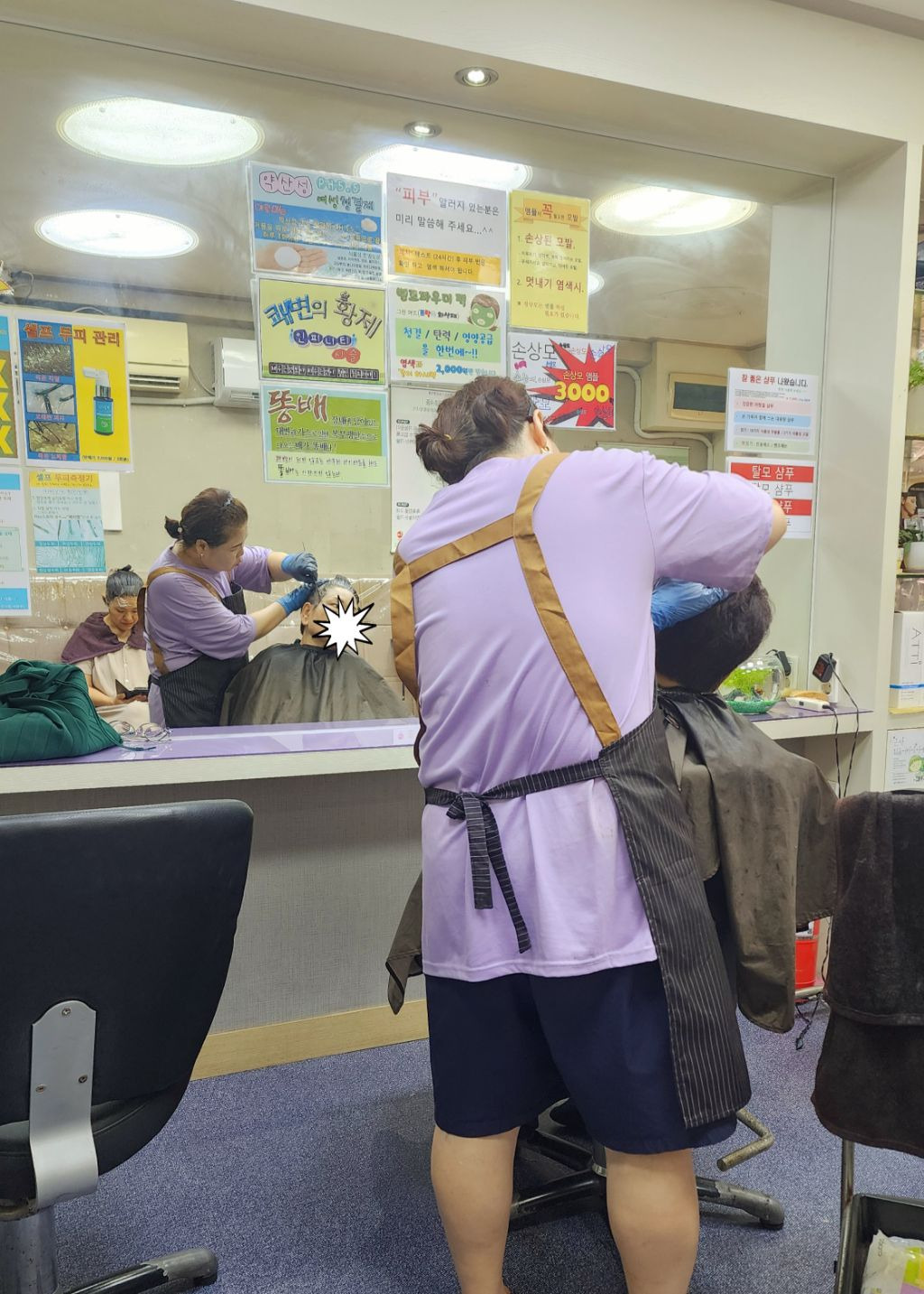 구피염색방 이미지
