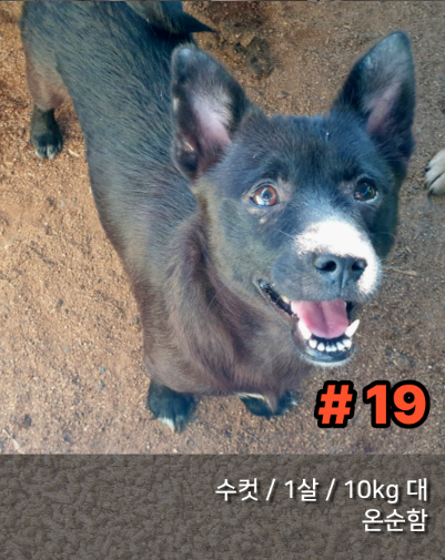 리태 이미지