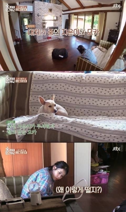 학대당한 강아지 모카가 아이유에게 마음을 열기까지 | 인스티즈
