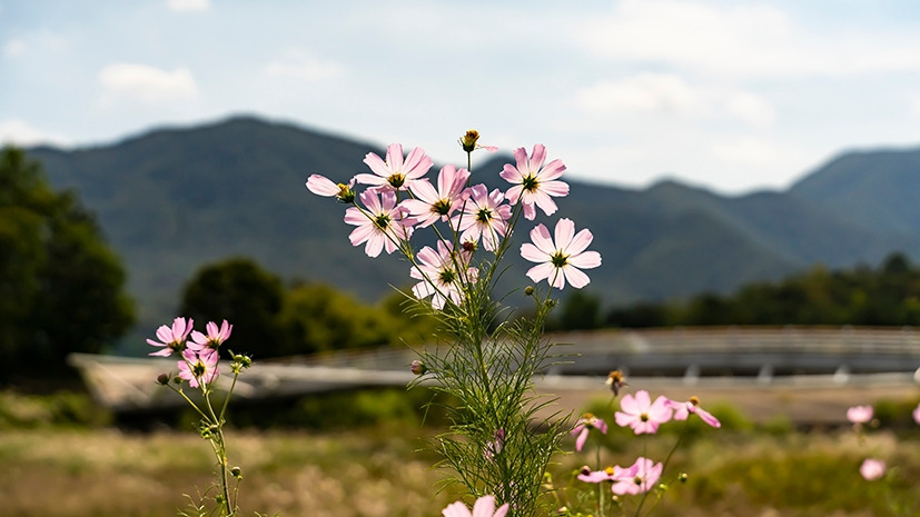 산수 이미지