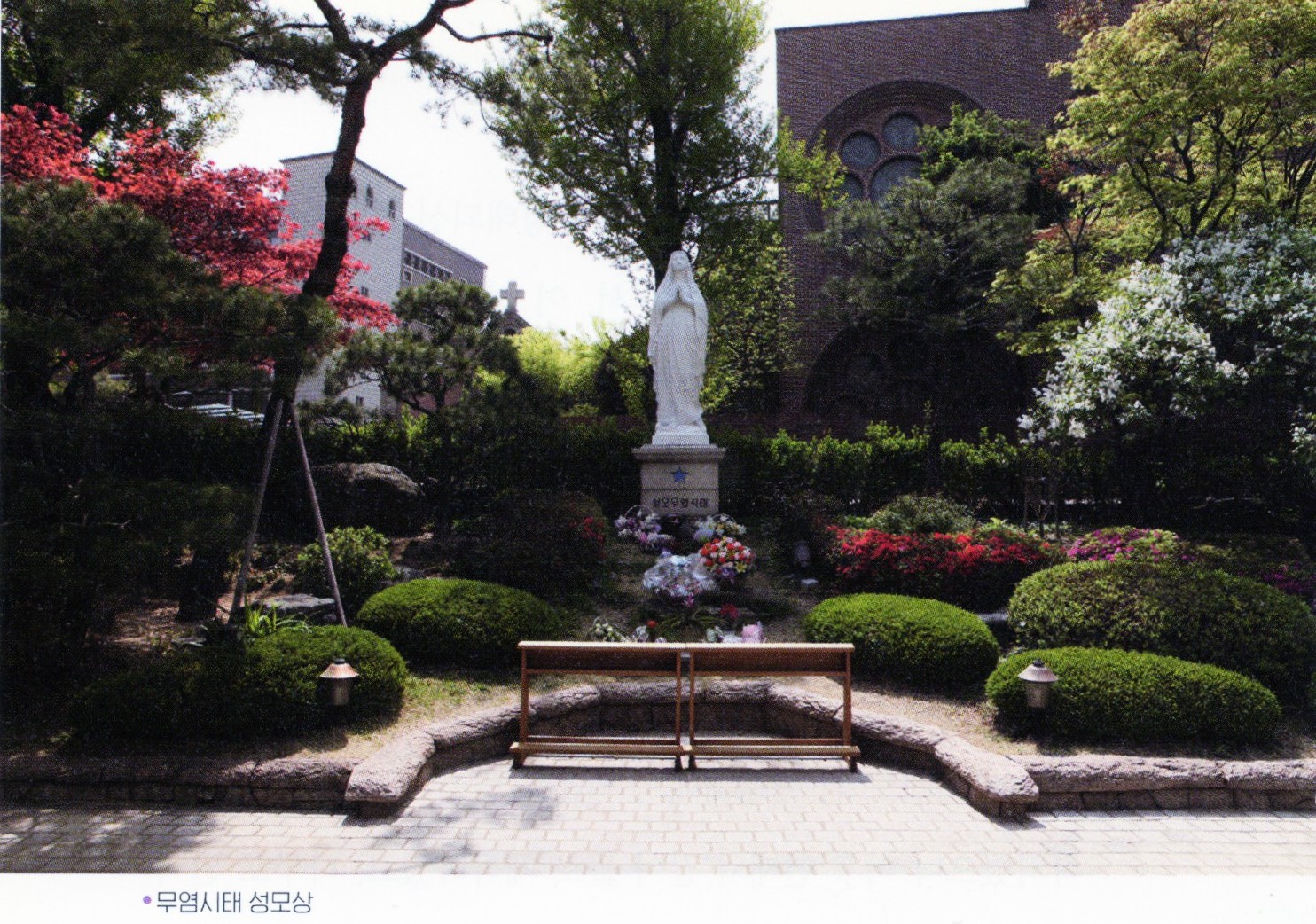 찬미사 이미지