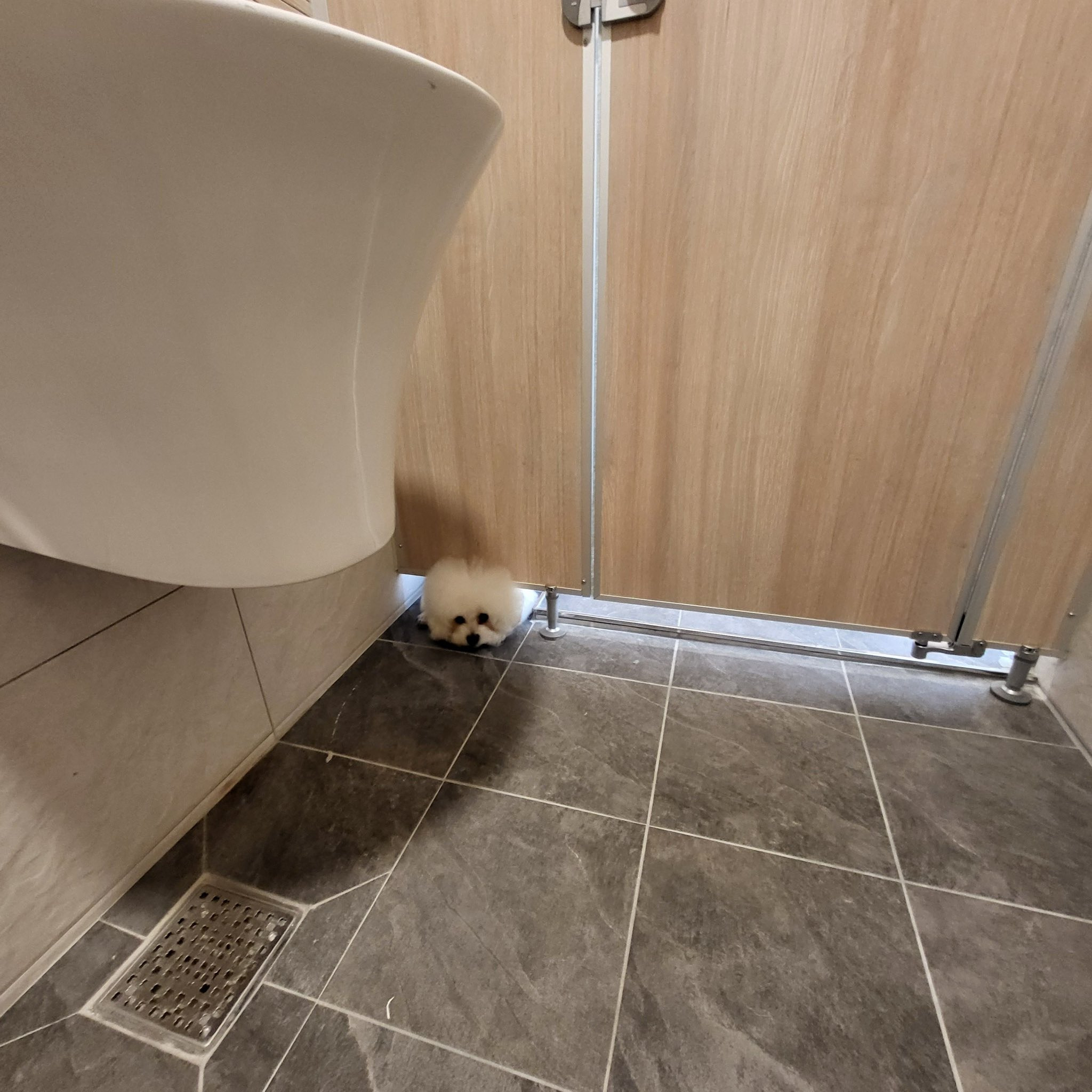 화장실 매니절 부른적 없다고...twt | 인스티즈