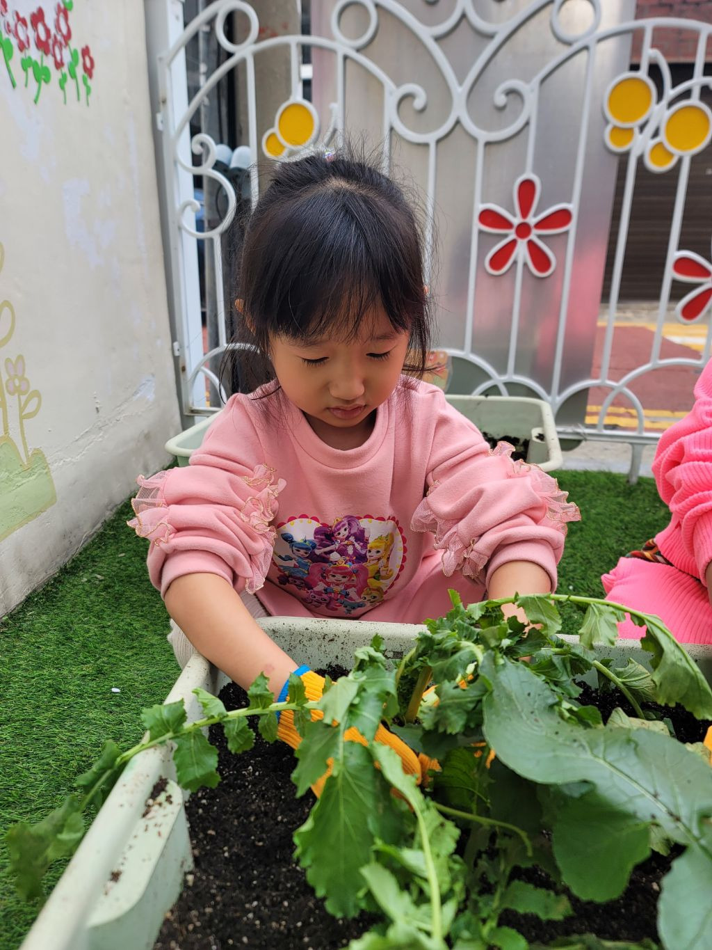 (주)마음심은 이미지