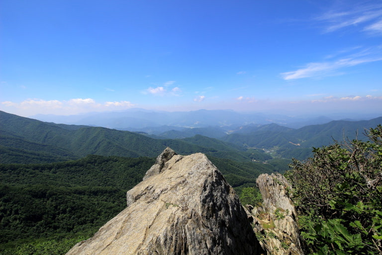 경주요양병원 이미지