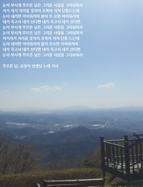 복드림 이미지