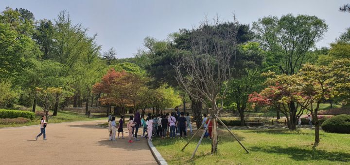 금릉초등학교 이미지