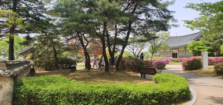 금릉초등학교 이미지