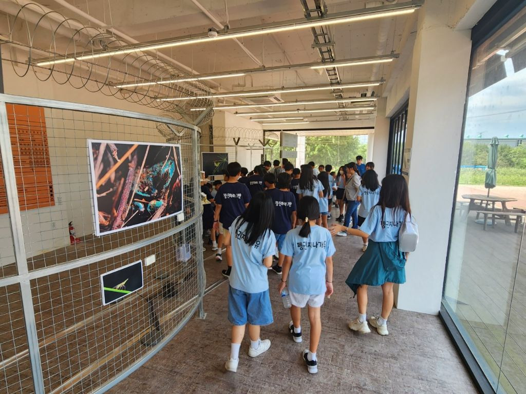 통일초등학교 이미지