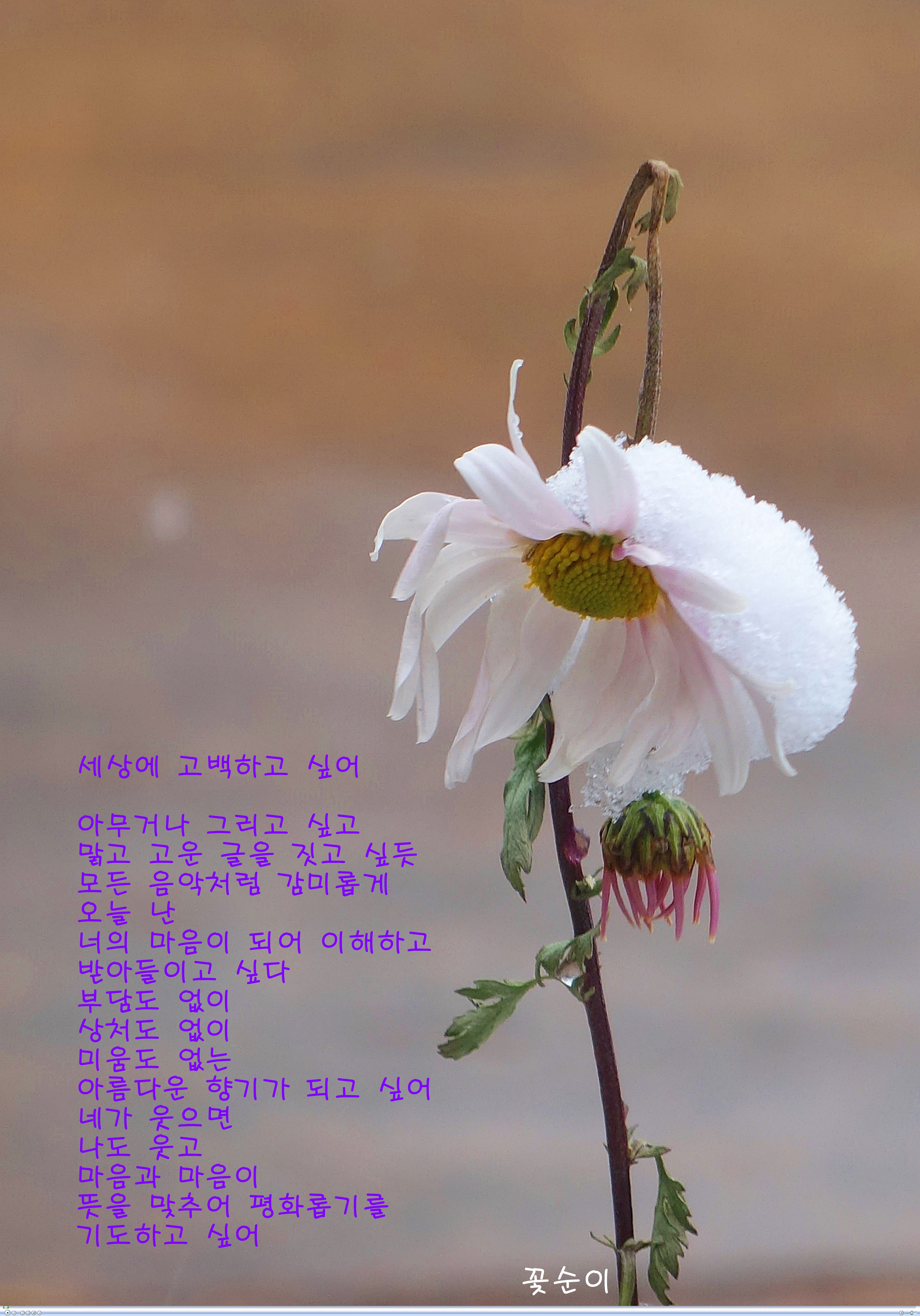 맑고 고운 세상 이미지