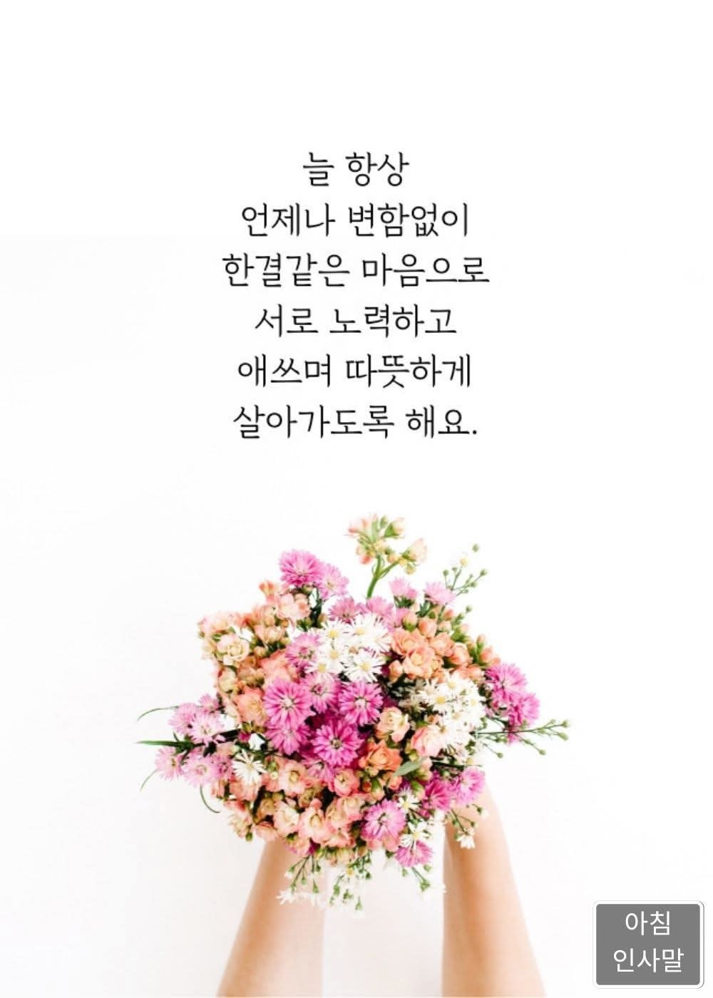 화목 이미지