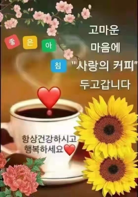 지해 이미지