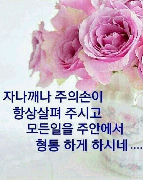 은혜 이미지