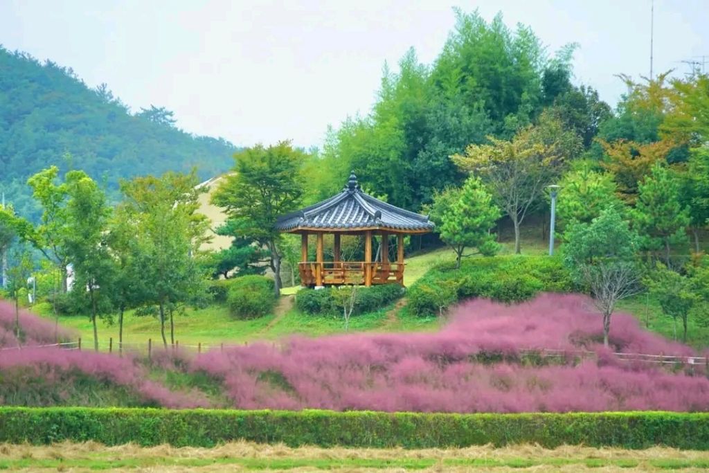 은혜환경주 이미지