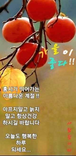 은혜네 이미지