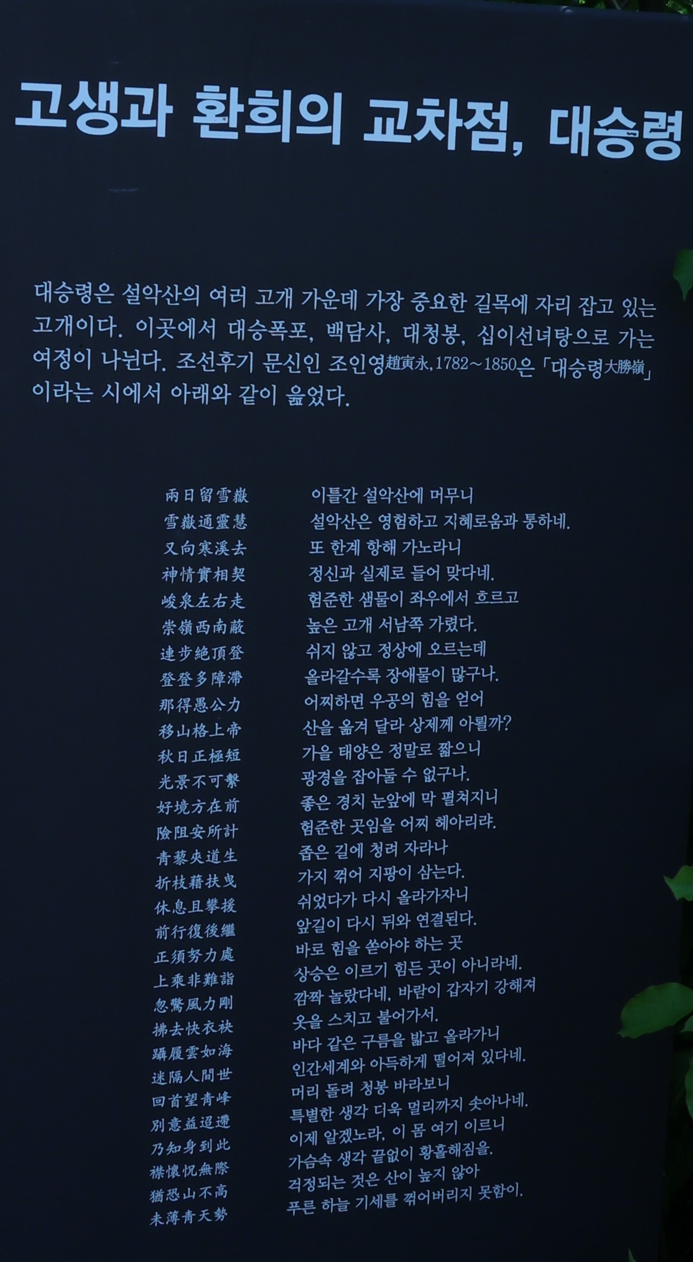 한계령에서 이미지