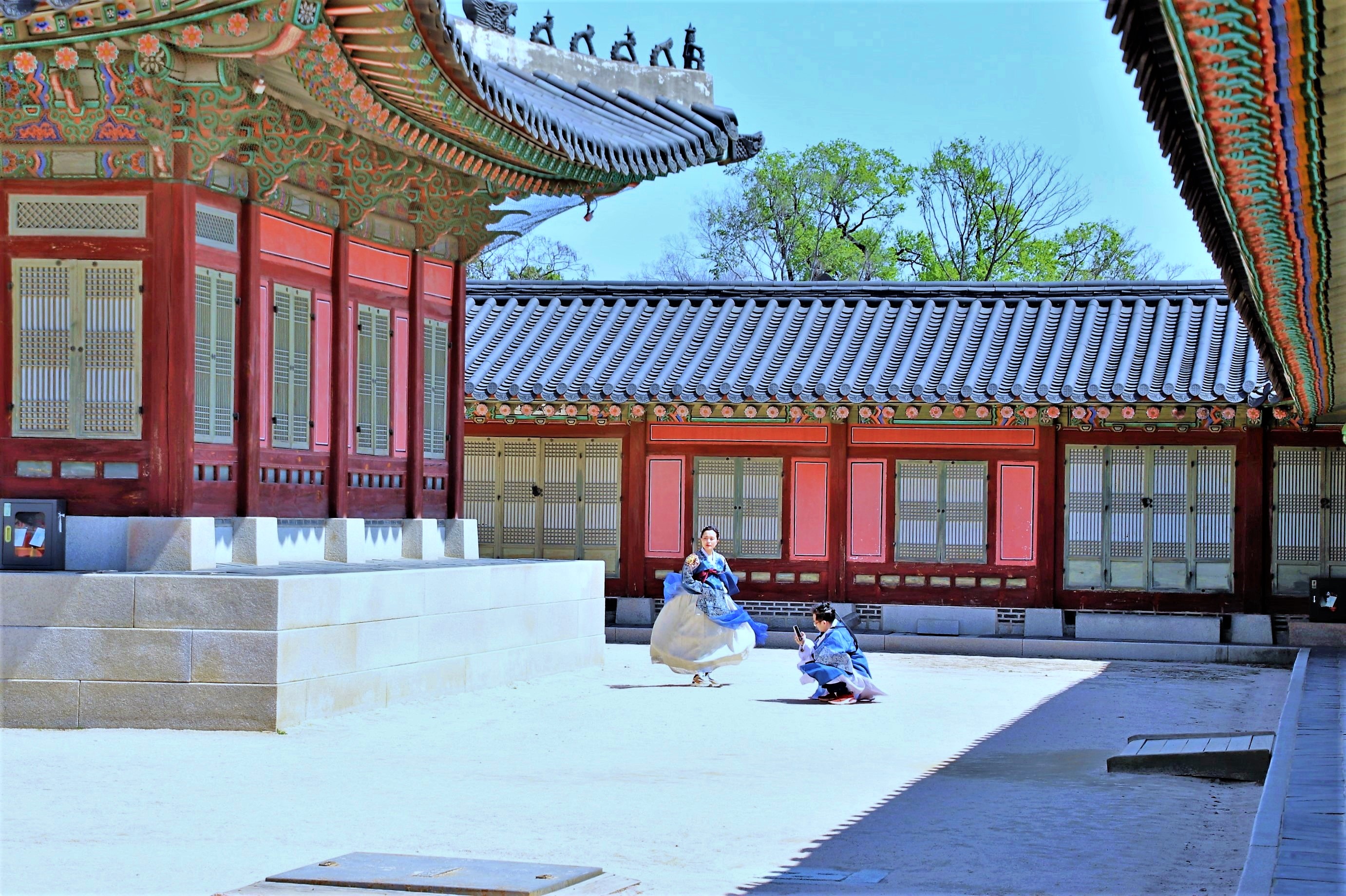 베이트리 이미지