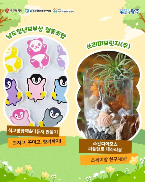 푸릇 이미지