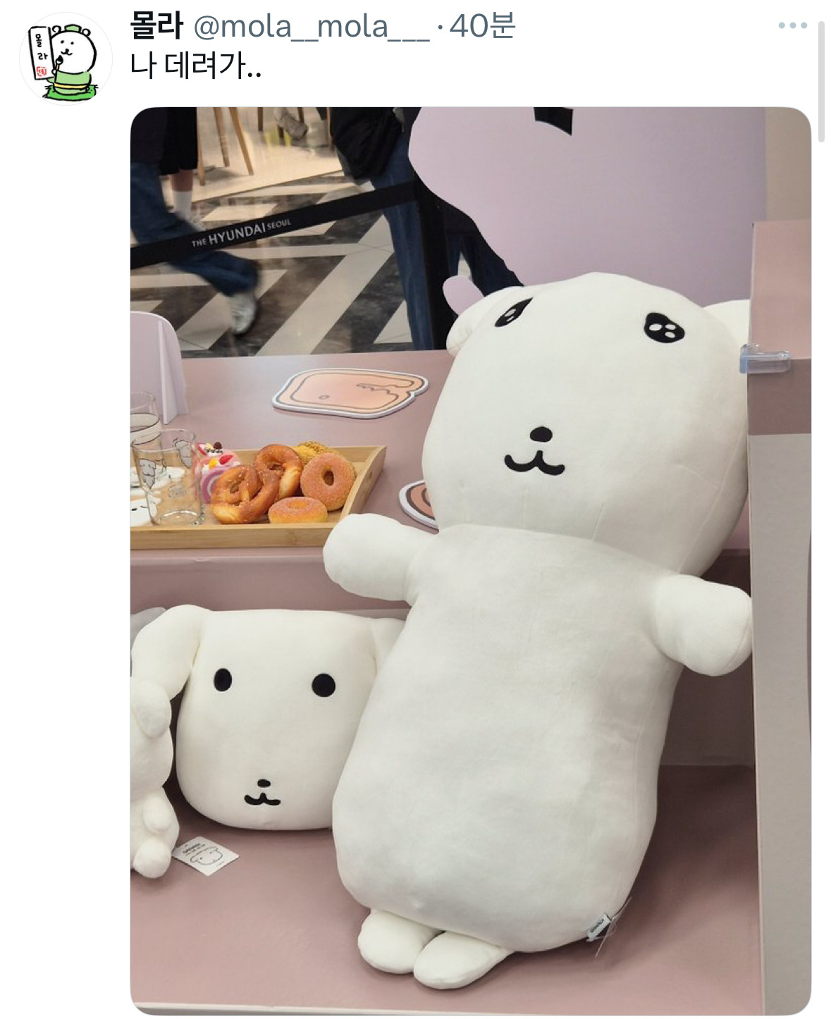 가나디 팝업에서 다들 거대 나안아 가나디 하나씩끌고다니는게 귀여워 | 인스티즈