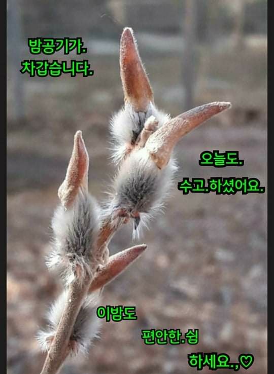 cafe 흥 이미지