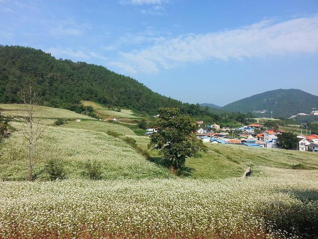 지구마을관광 이미지