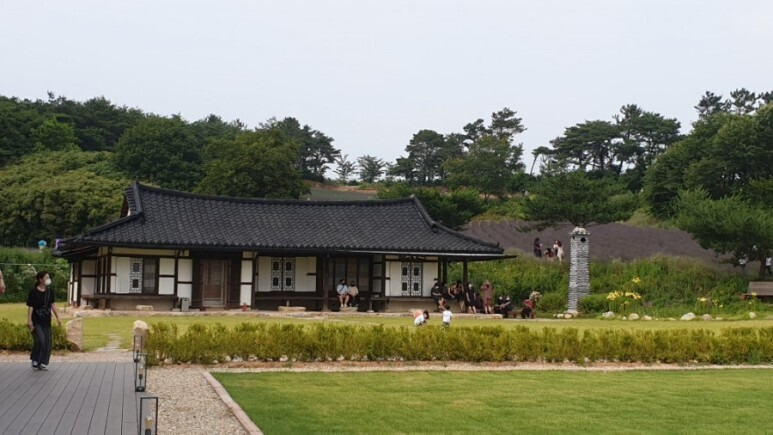 핑크몰리 이미지