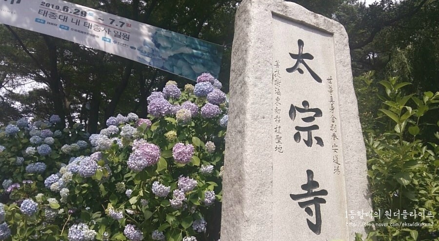 MM-55-6 이미지
