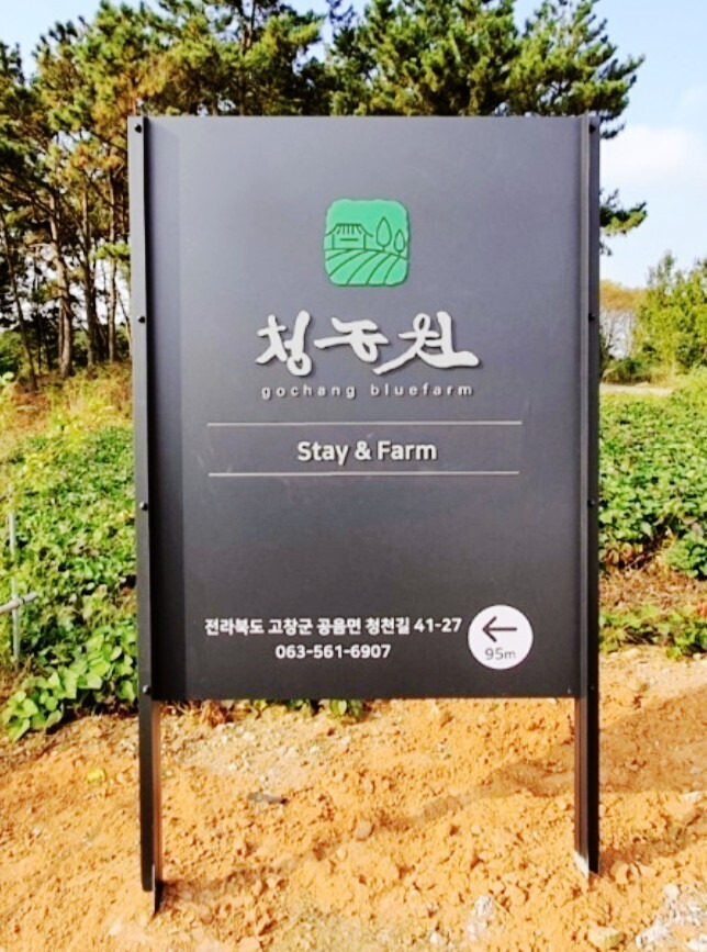 핑크몰리 이미지