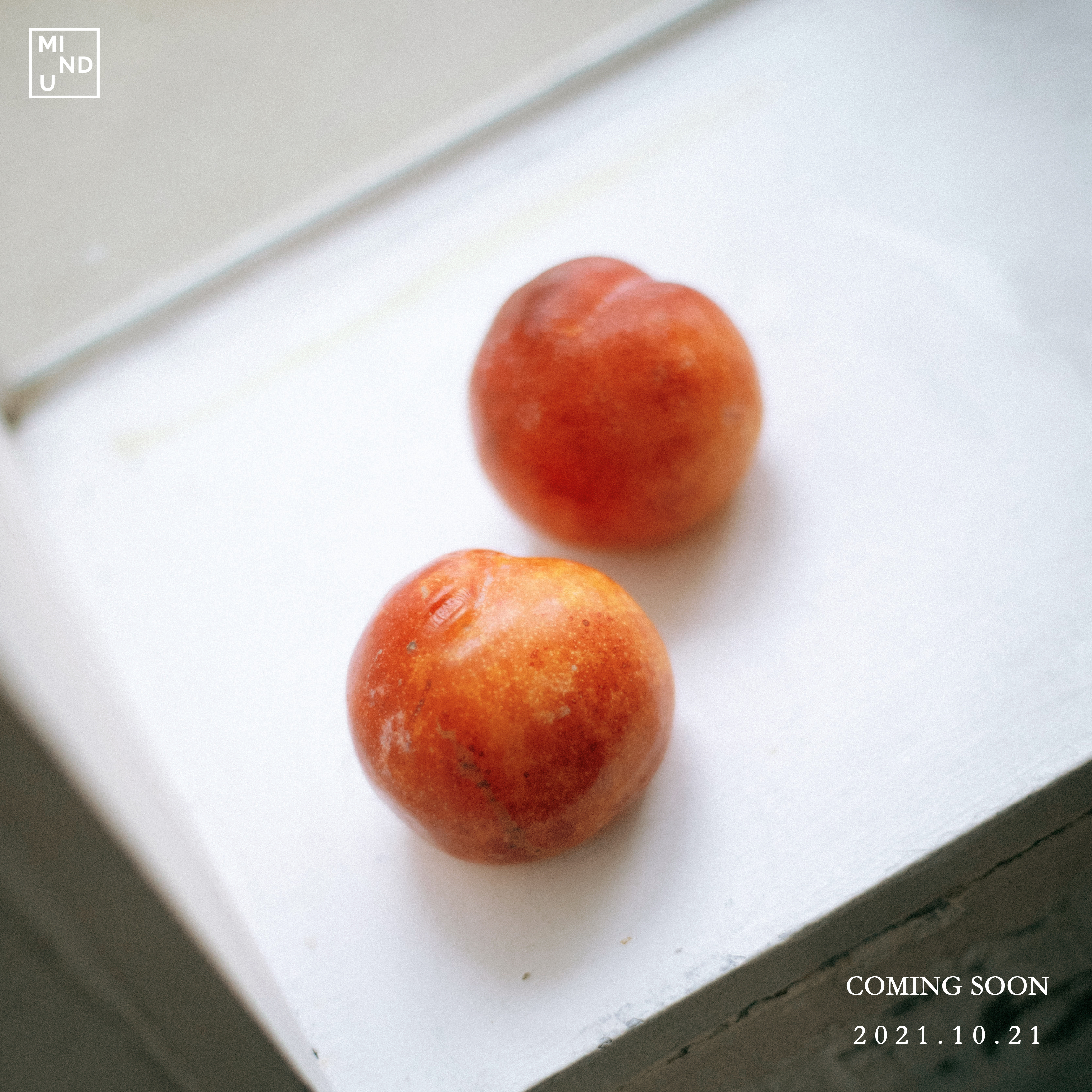 마인드로우 이미지