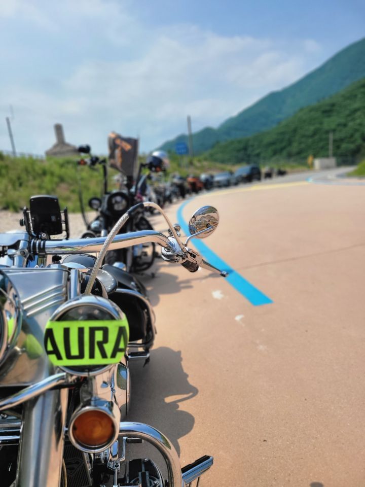 (주) 모모투어 이미지