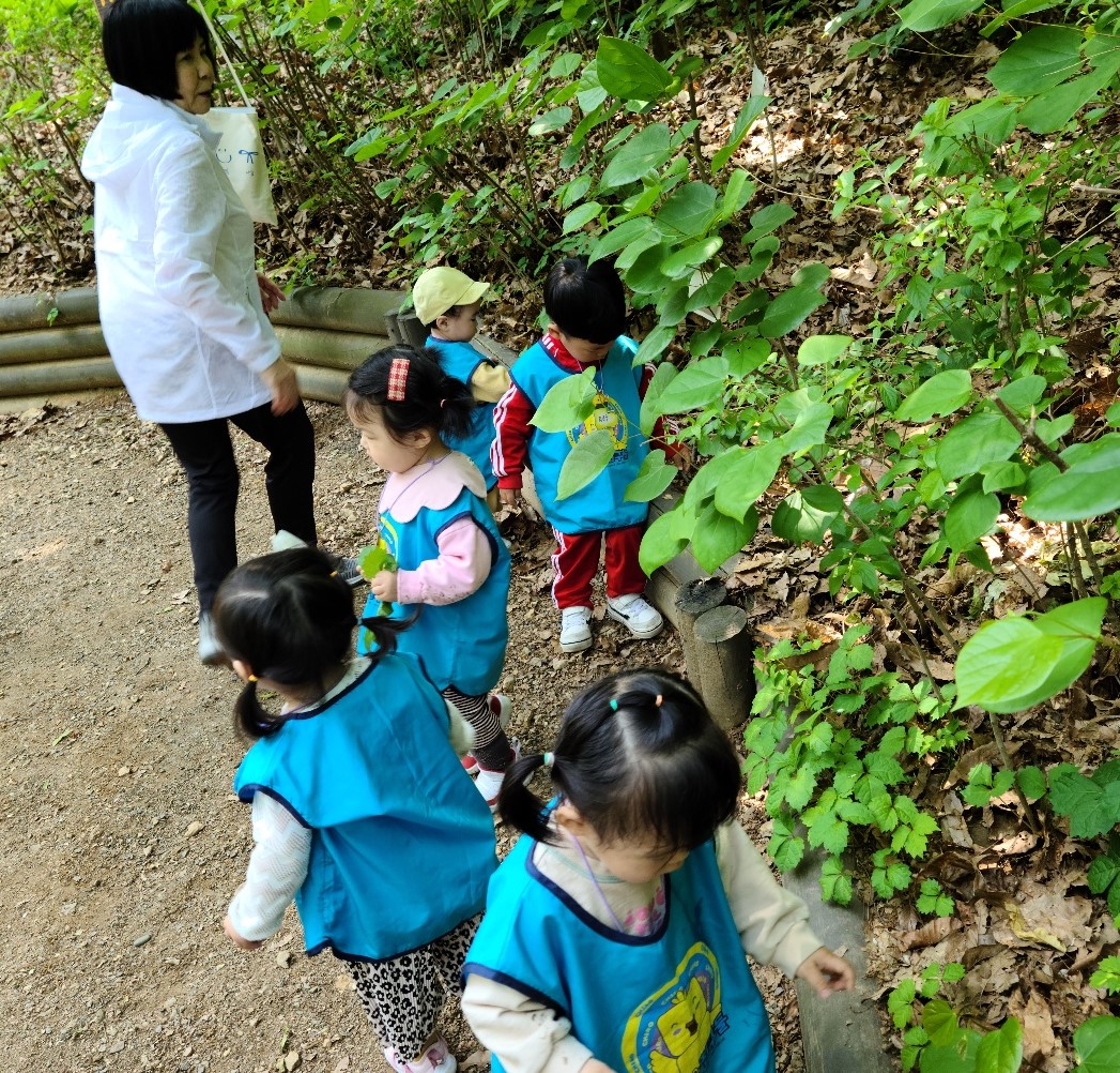 구립 둔촌숲속 어린이집 이미지