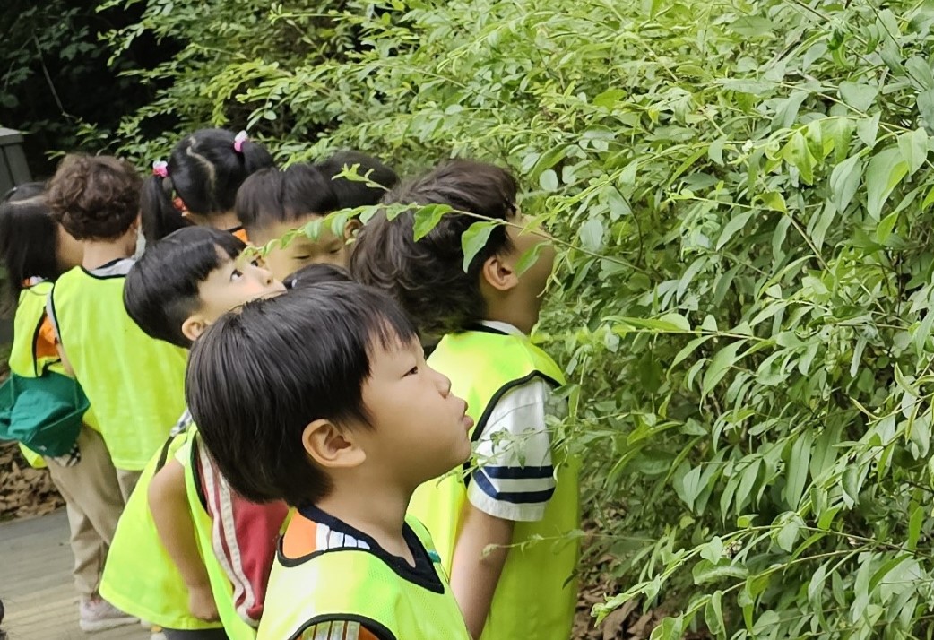 구립초롱어린이집 이미지