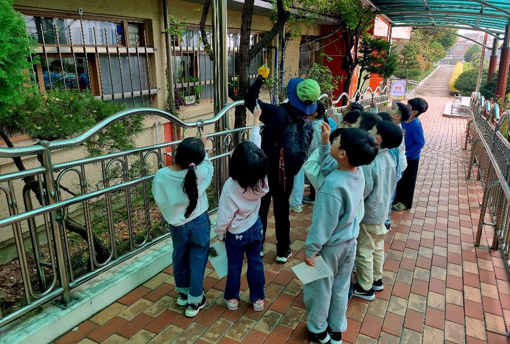 미양초등학교 이미지