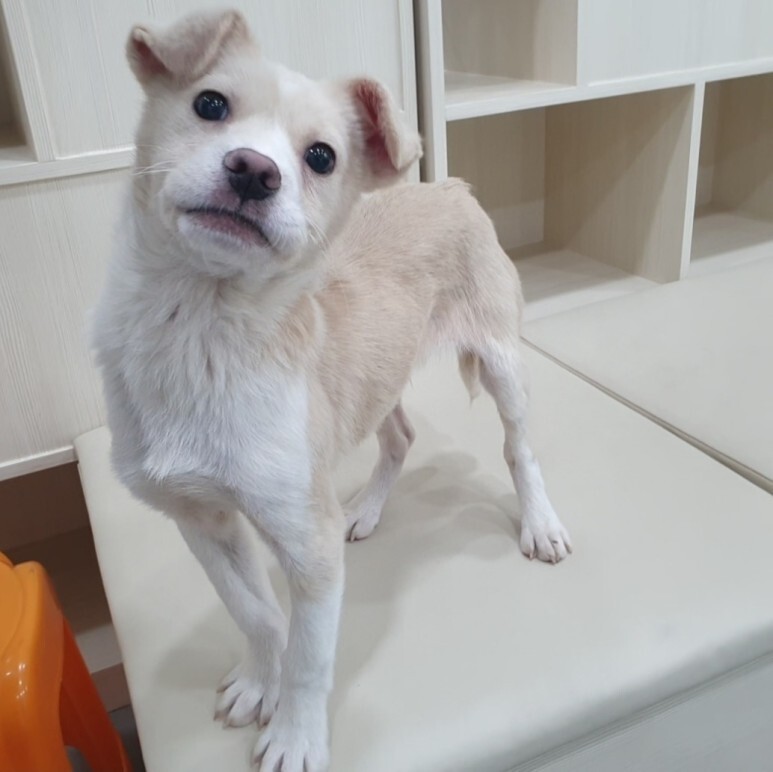 동동 이미지
