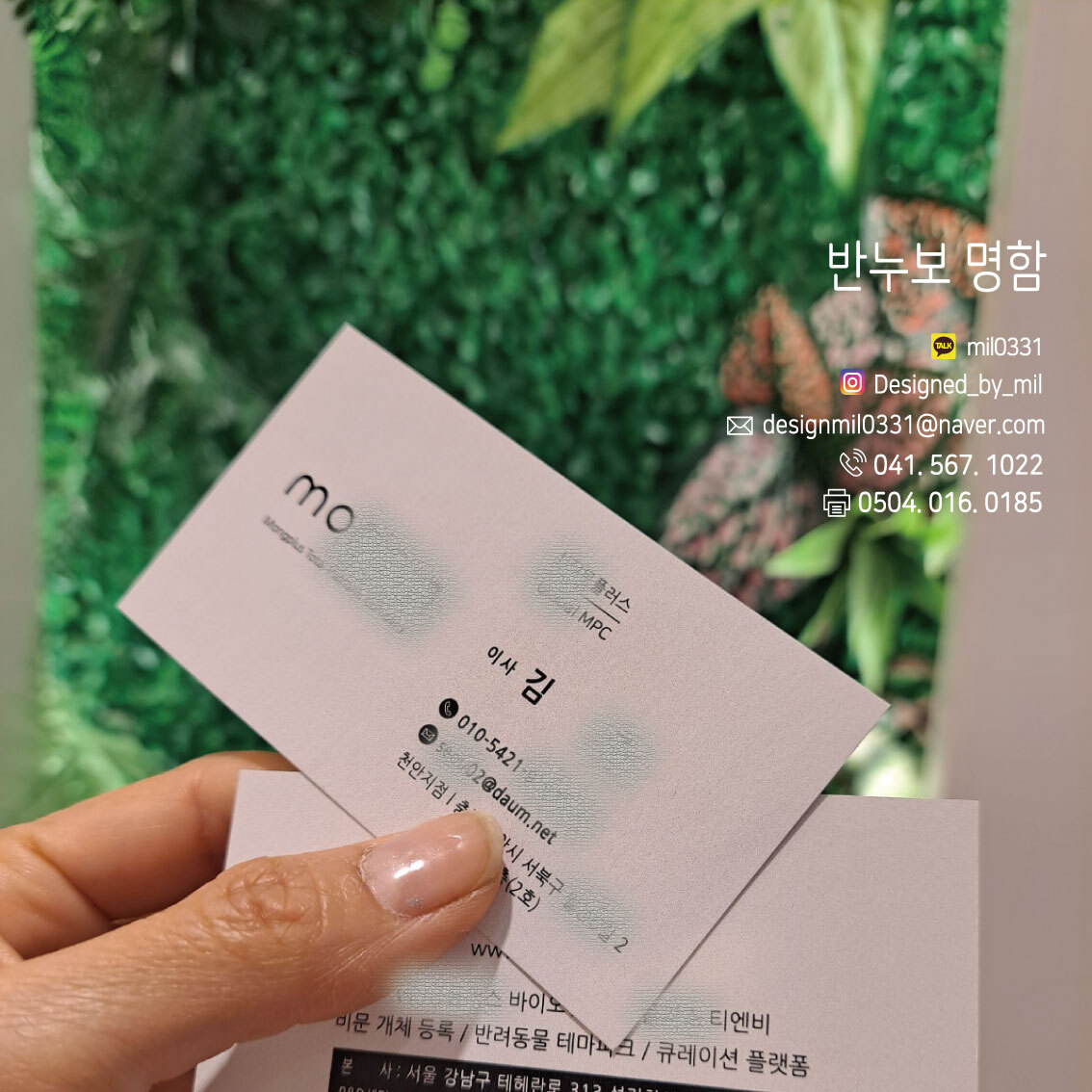 보명 이미지